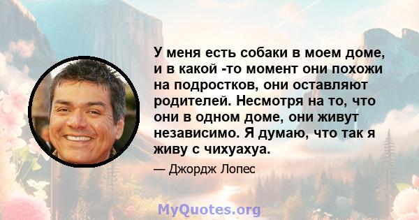 У меня есть собаки в моем доме, и в какой -то момент они похожи на подростков, они оставляют родителей. Несмотря на то, что они в одном доме, они живут независимо. Я думаю, что так я живу с чихуахуа.