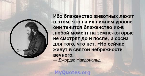 Ибо блаженство животных лежит в этом, что на их нижнем уровне они тенится блаженство их-в любой момент на земле-которые не смотрят до и после, и сосна для того, что нет, «Но сейчас живут в святой небрежности вечного.