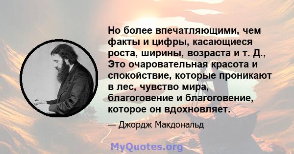 Но более впечатляющими, чем факты и цифры, касающиеся роста, ширины, возраста и т. Д., Это очаровательная красота и спокойствие, которые проникают в лес, чувство мира, благоговение и благоговение, которое он вдохновляет.