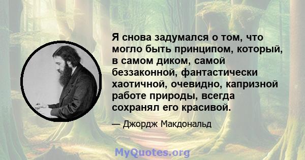 Я снова задумался о том, что могло быть принципом, который, в самом диком, самой беззаконной, фантастически хаотичной, очевидно, капризной работе природы, всегда сохранял его красивой.