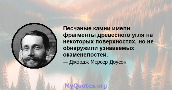 Песчаные камни имели фрагменты древесного угля на некоторых поверхностях, но не обнаружили узнаваемых окаменелостей.