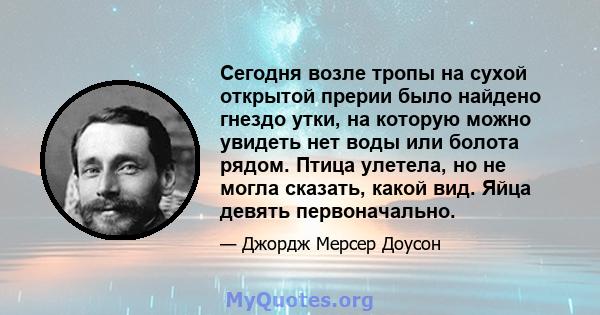 Сегодня возле тропы на сухой открытой прерии было найдено гнездо утки, на которую можно увидеть нет воды или болота рядом. Птица улетела, но не могла сказать, какой вид. Яйца девять первоначально.