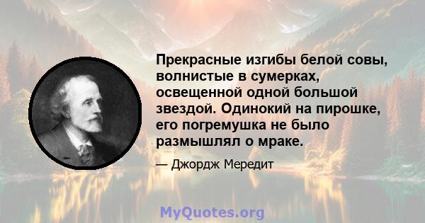 Прекрасные изгибы белой совы, волнистые в сумерках, освещенной одной большой звездой. Одинокий на пирошке, его погремушка не было размышлял о мраке.