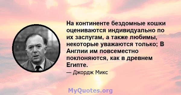 На континенте бездомные кошки оцениваются индивидуально по их заслугам, а также любимы, некоторые уважаются только; В Англии им повсеместно поклоняются, как в древнем Египте.