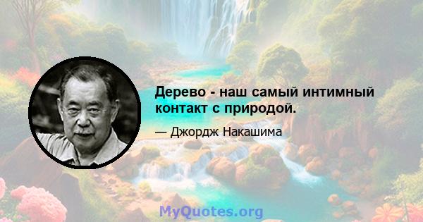 Дерево - наш самый интимный контакт с природой.