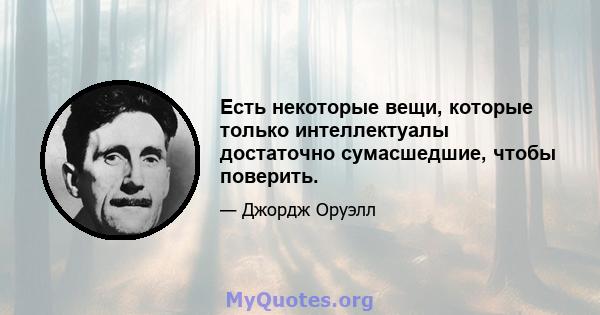 Есть некоторые вещи, которые только интеллектуалы достаточно сумасшедшие, чтобы поверить.