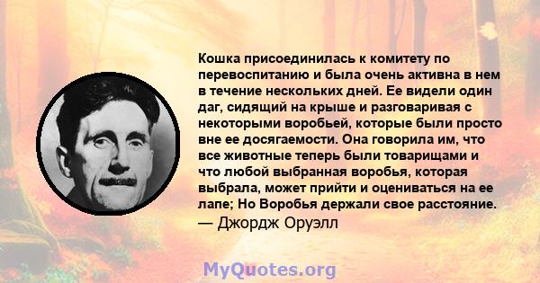 Кошка присоединилась к комитету по перевоспитанию и была очень активна в нем в течение нескольких дней. Ее видели один даг, сидящий на крыше и разговаривая с некоторыми воробьей, которые были просто вне ее досягаемости. 