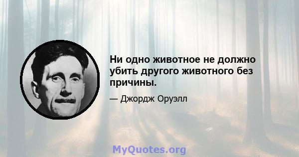 Ни одно животное не должно убить другого животного без причины.