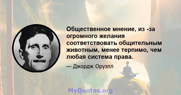 Общественное мнение, из -за огромного желания соответствовать общительным животным, менее терпимо, чем любая система права.