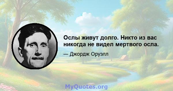 Ослы живут долго. Никто из вас никогда не видел мертвого осла.