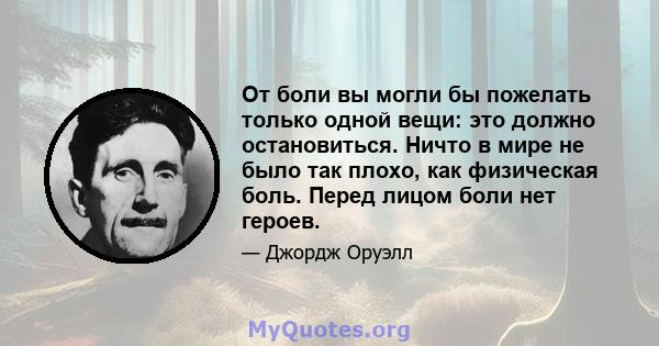 От боли вы могли бы пожелать только одной вещи: это должно остановиться. Ничто в мире не было так плохо, как физическая боль. Перед лицом боли нет героев.