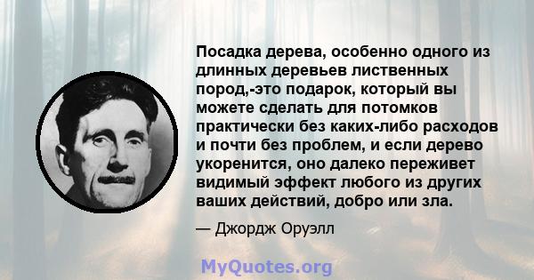 Посадка дерева, особенно одного из длинных деревьев лиственных пород,-это подарок, который вы можете сделать для потомков практически без каких-либо расходов и почти без проблем, и если дерево укоренится, оно далеко