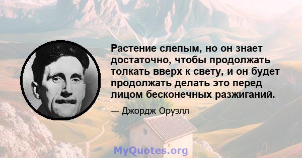 Растение слепым, но он знает достаточно, чтобы продолжать толкать вверх к свету, и он будет продолжать делать это перед лицом бесконечных разжиганий.