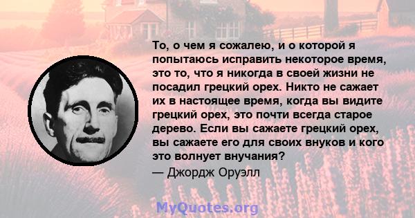 То, о чем я сожалею, и о которой я попытаюсь исправить некоторое время, это то, что я никогда в своей жизни не посадил грецкий орех. Никто не сажает их в настоящее время, когда вы видите грецкий орех, это почти всегда