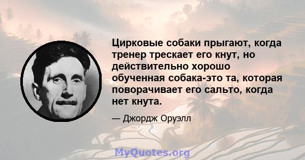 Цирковые собаки прыгают, когда тренер трескает его кнут, но действительно хорошо обученная собака-это та, которая поворачивает его сальто, когда нет кнута.