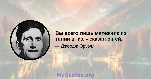 Вы всего лишь мятежник из талии вниз, - сказал он ей.