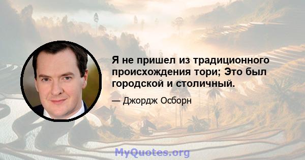 Я не пришел из традиционного происхождения тори; Это был городской и столичный.