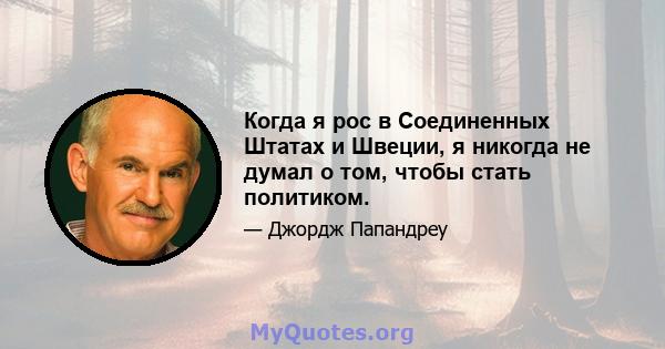 Когда я рос в Соединенных Штатах и ​​Швеции, я никогда не думал о том, чтобы стать политиком.