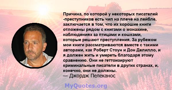 Причина, по которой у некоторых писателей -преступников есть чип на плече на лейбле, заключается в том, что их хорошие книги отложены рядом с книгами о монахине, наблюдениях за птицами и кошками, которые решают