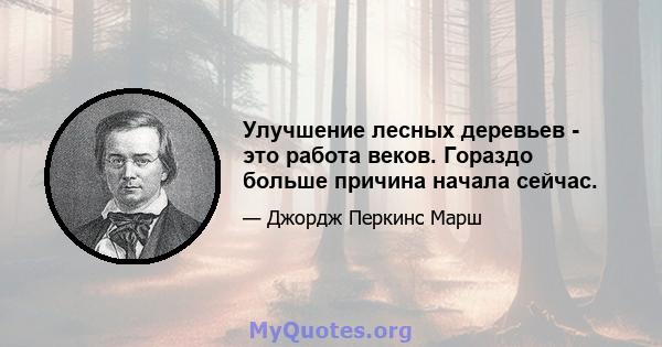 Улучшение лесных деревьев - это работа веков. Гораздо больше причина начала сейчас.