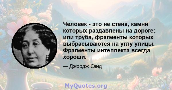 Человек - это не стена, камни которых раздавлены на дороге; или труба, фрагменты которых выбрасываются на углу улицы. Фрагменты интеллекта всегда хороши.