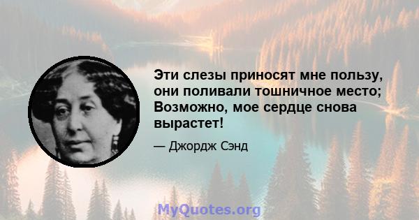 Эти слезы приносят мне пользу, они поливали тошничное место; Возможно, мое сердце снова вырастет!