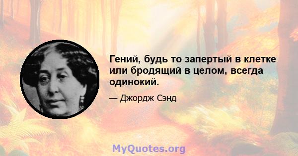 Гений, будь то запертый в клетке или бродящий в целом, всегда одинокий.