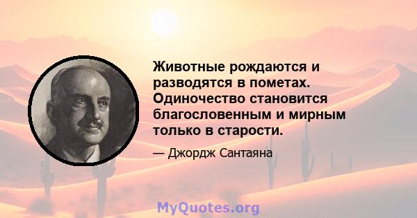 Животные рождаются и разводятся в пометах. Одиночество становится благословенным и мирным только в старости.