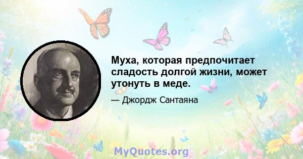 Муха, которая предпочитает сладость долгой жизни, может утонуть в меде.