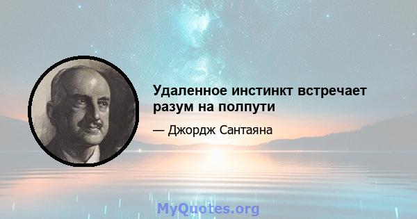 Удаленное инстинкт встречает разум на полпути