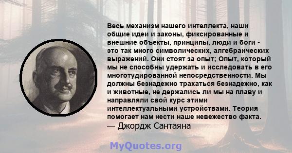 Весь механизм нашего интеллекта, наши общие идеи и законы, фиксированные и внешние объекты, принципы, люди и боги - это так много символических, алгебраических выражений. Они стоят за опыт; Опыт, который мы не способны