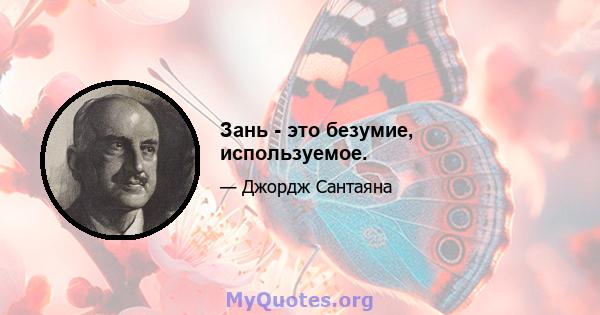 Зань - это безумие, используемое.