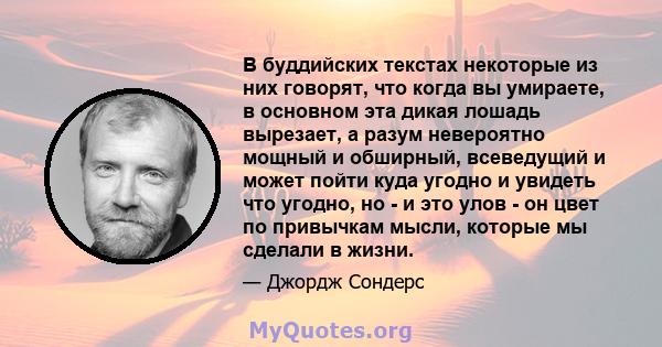 В буддийских текстах некоторые из них говорят, что когда вы умираете, в основном эта дикая лошадь вырезает, а разум невероятно мощный и обширный, всеведущий и может пойти куда угодно и увидеть что угодно, но - и это