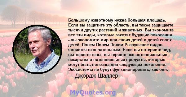 Большому животному нужна большая площадь. Если вы защитите эту область, вы также защищаете тысячи других растений и животных. Вы экономите все эти виды, которые захотят будущие поколения - вы экономите мир для своих