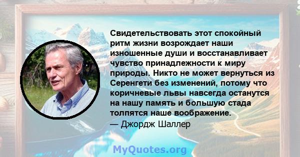 Свидетельствовать этот спокойный ритм жизни возрождает наши изношенные души и восстанавливает чувство принадлежности к миру природы. Никто не может вернуться из Серенгети без изменений, потому что коричневые львы