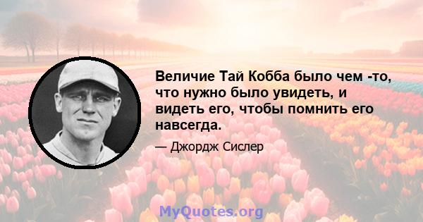 Величие Тай Кобба было чем -то, что нужно было увидеть, и видеть его, чтобы помнить его навсегда.