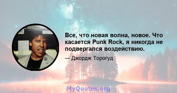 Все, что новая волна, новое. Что касается Punk Rock, я никогда не подвергался воздействию.