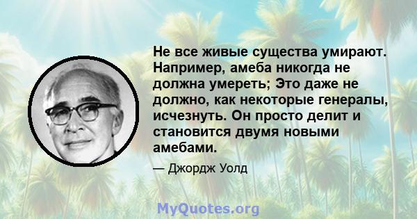 Не все живые существа умирают. Например, амеба никогда не должна умереть; Это даже не должно, как некоторые генералы, исчезнуть. Он просто делит и становится двумя новыми амебами.