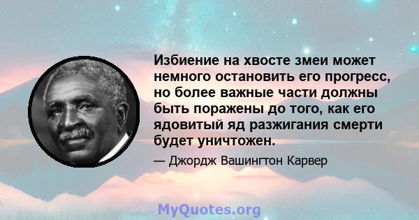 Избиение на хвосте змеи может немного остановить его прогресс, но более важные части должны быть поражены до того, как его ядовитый яд разжигания смерти будет уничтожен.