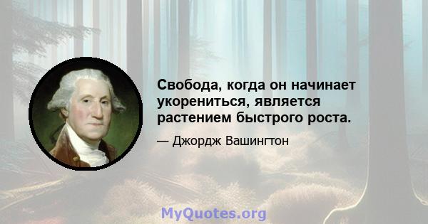 Свобода, когда он начинает укорениться, является растением быстрого роста.