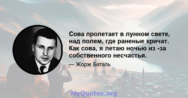 Сова пролетает в лунном свете, над полем, где раненые кричат. Как сова, я летаю ночью из -за собственного несчастья.