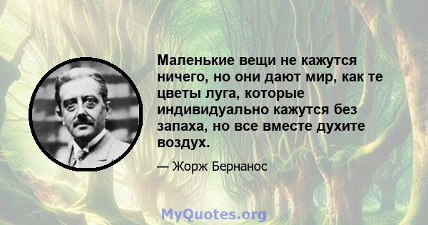 Маленькие вещи не кажутся ничего, но они дают мир, как те цветы луга, которые индивидуально кажутся без запаха, но все вместе духите воздух.