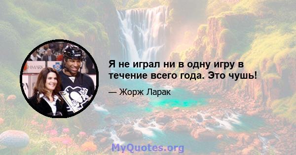 Я не играл ни в одну игру в течение всего года. Это чушь!