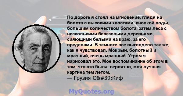 По дороге я стоял на мгновение, глядя на болота с высокими хвостами, кнопкой воды, большим количеством болота, затем леса с несколькими березовыми деревьями, сияющими белыми на краю, за его пределами. В темноте все