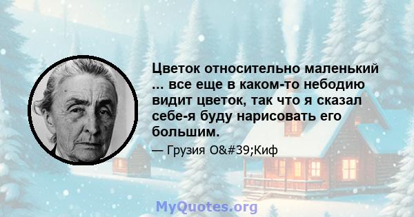 Цветок относительно маленький ... все еще в каком-то небодию видит цветок, так что я сказал себе-я буду нарисовать его большим.