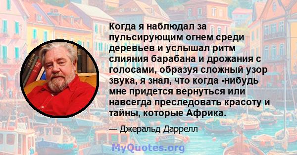 Когда я наблюдал за пульсирующим огнем среди деревьев и услышал ритм слияния барабана и дрожания с голосами, образуя сложный узор звука, я знал, что когда -нибудь мне придется вернуться или навсегда преследовать красоту 