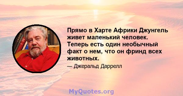 Прямо в Харте Африки Джунгель живет маленький человек. Теперь есть один необычный факт о нем, что он фринд всех животных.