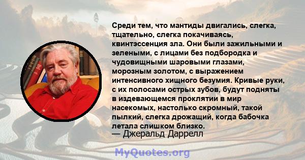 Среди тем, что мантиды двигались, слегка, тщательно, слегка покачиваясь, квинтэссенция зла. Они были зажильными и зелеными, с лицами без подбородка и чудовищными шаровыми глазами, морозным золотом, с выражением