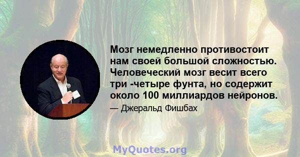 Мозг немедленно противостоит нам своей большой сложностью. Человеческий мозг весит всего три -четыре фунта, но содержит около 100 миллиардов нейронов.