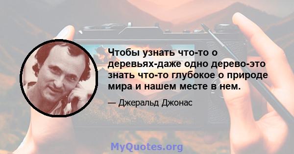 Чтобы узнать что-то о деревьях-даже одно дерево-это знать что-то глубокое о природе мира и нашем месте в нем.